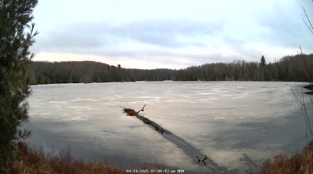 Image from 2025-04-14