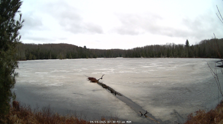 Image from 2025-04-14