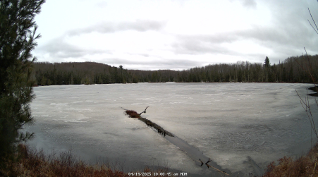 Image from 2025-04-14