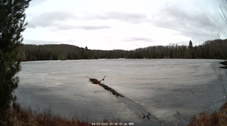 Image from 2025-04-14