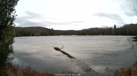 Image from 2025-04-14