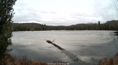 Image from 2025-04-14