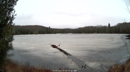 Image from 2025-04-14