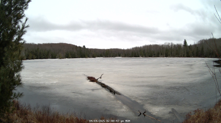 Image from 2025-04-14