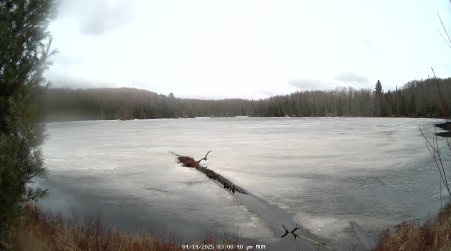 Image from 2025-04-14
