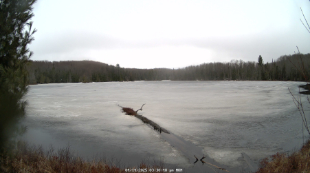 Image from 2025-04-14