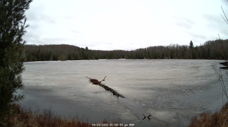Image from 2025-04-14