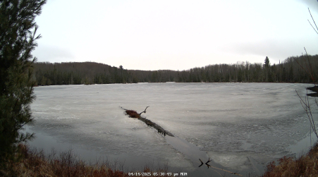 Image from 2025-04-14
