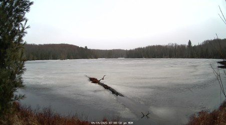 Image from 2025-04-14