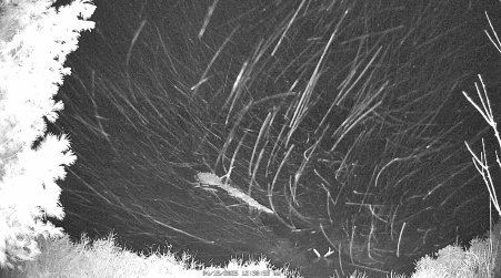 Image from 2025-04-15