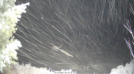 Image from 2025-04-15