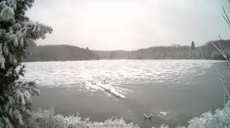 Image from 2025-04-15