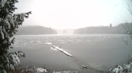 Image from 2025-04-15