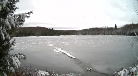 Image from 2025-04-15