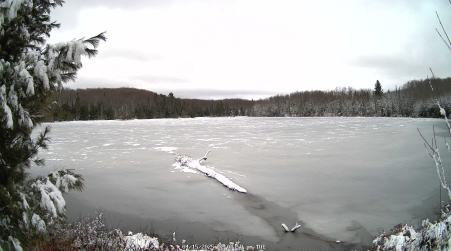 Image from 2025-04-15