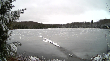 Image from 2025-04-15