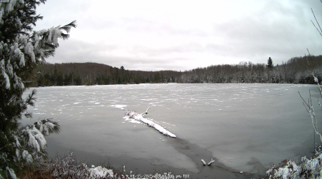 Image from 2025-04-15