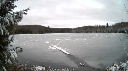 Image from 2025-04-15
