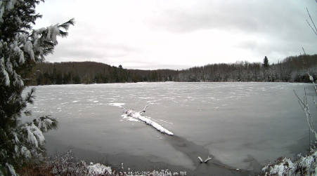 Image from 2025-04-15