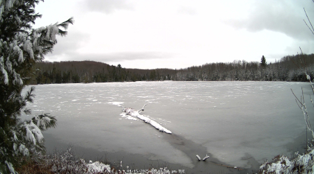 Image from 2025-04-15