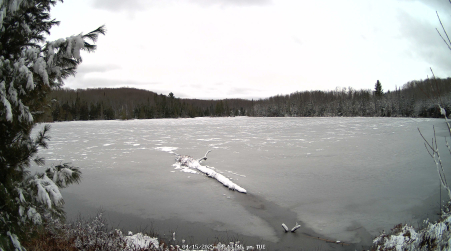 Image from 2025-04-15