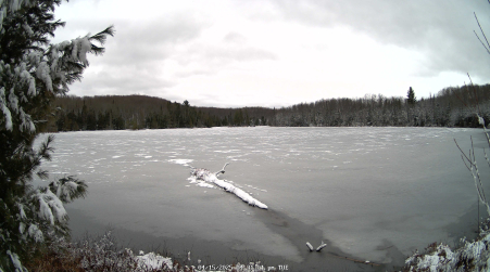 Image from 2025-04-15