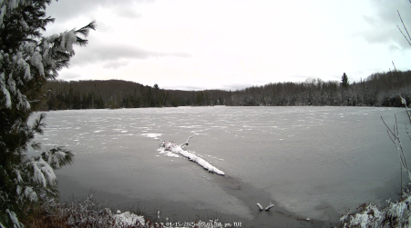Image from 2025-04-15