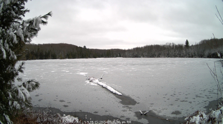 Image from 2025-04-15