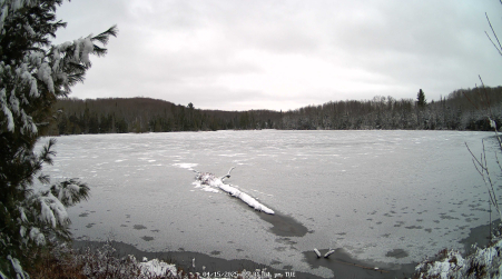 Image from 2025-04-15
