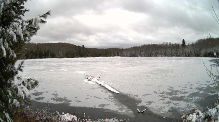Image from 2025-04-15