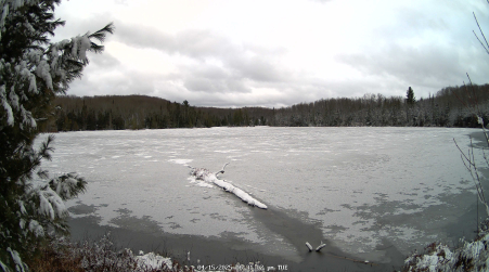 Image from 2025-04-15