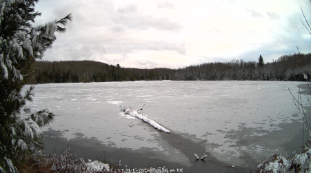 Image from 2025-04-15