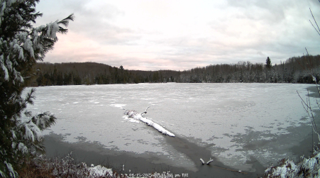 Image from 2025-04-15