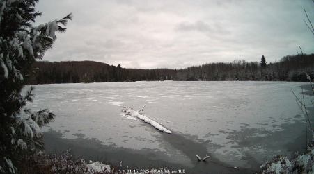 Image from 2025-04-15
