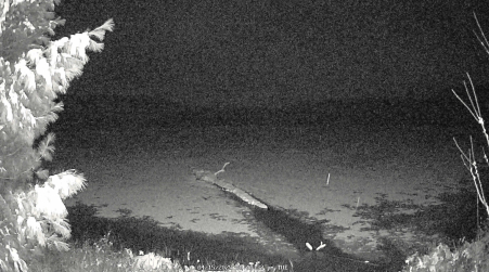 Image from 2025-04-15