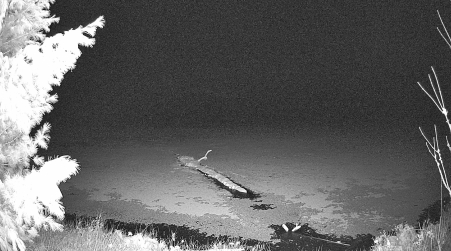 Image from 2025-04-15