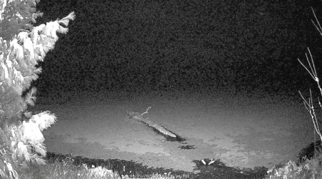 Image from 2025-04-15