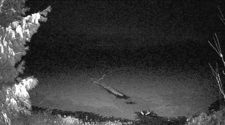 Image from 2025-04-16