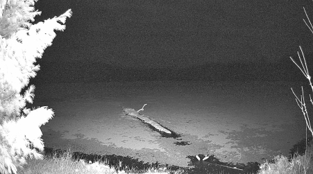 Image from 2025-04-16
