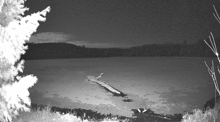 Image from 2025-04-16
