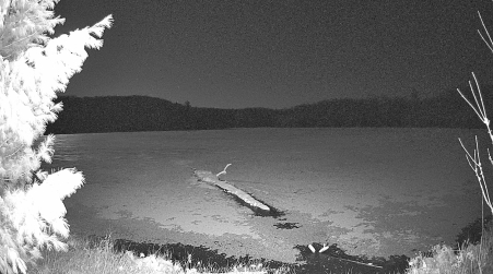 Image from 2025-04-16