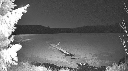 Image from 2025-04-16