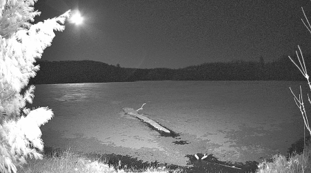 Image from 2025-04-16