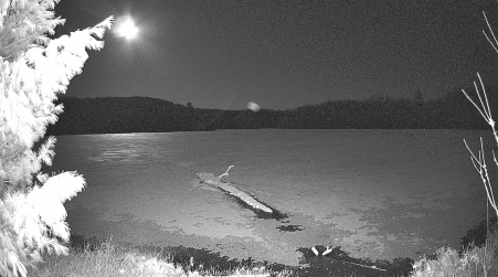 Image from 2025-04-16