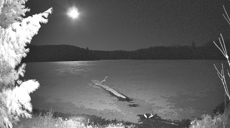 Image from 2025-04-16