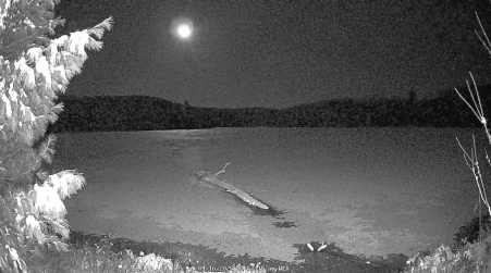 Image from 2025-04-16