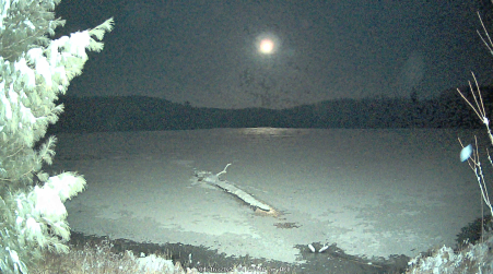 Image from 2025-04-16