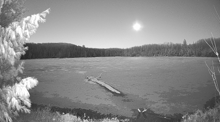 Image from 2025-04-16