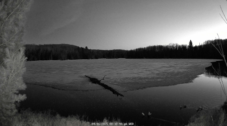 Image from 2025-04-16