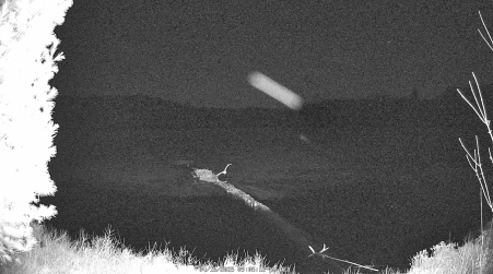 Image from 2025-04-16